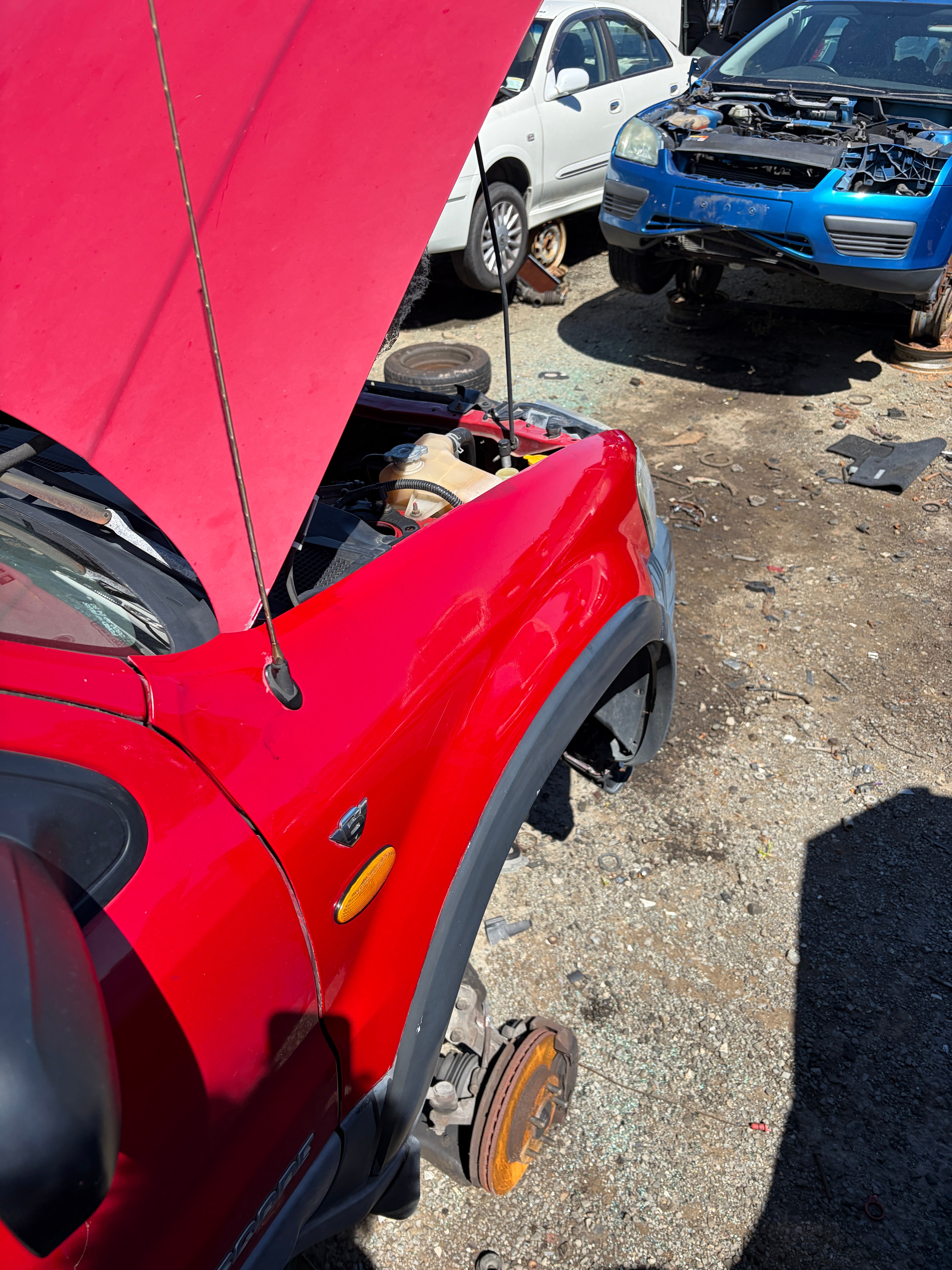 Restored paint result