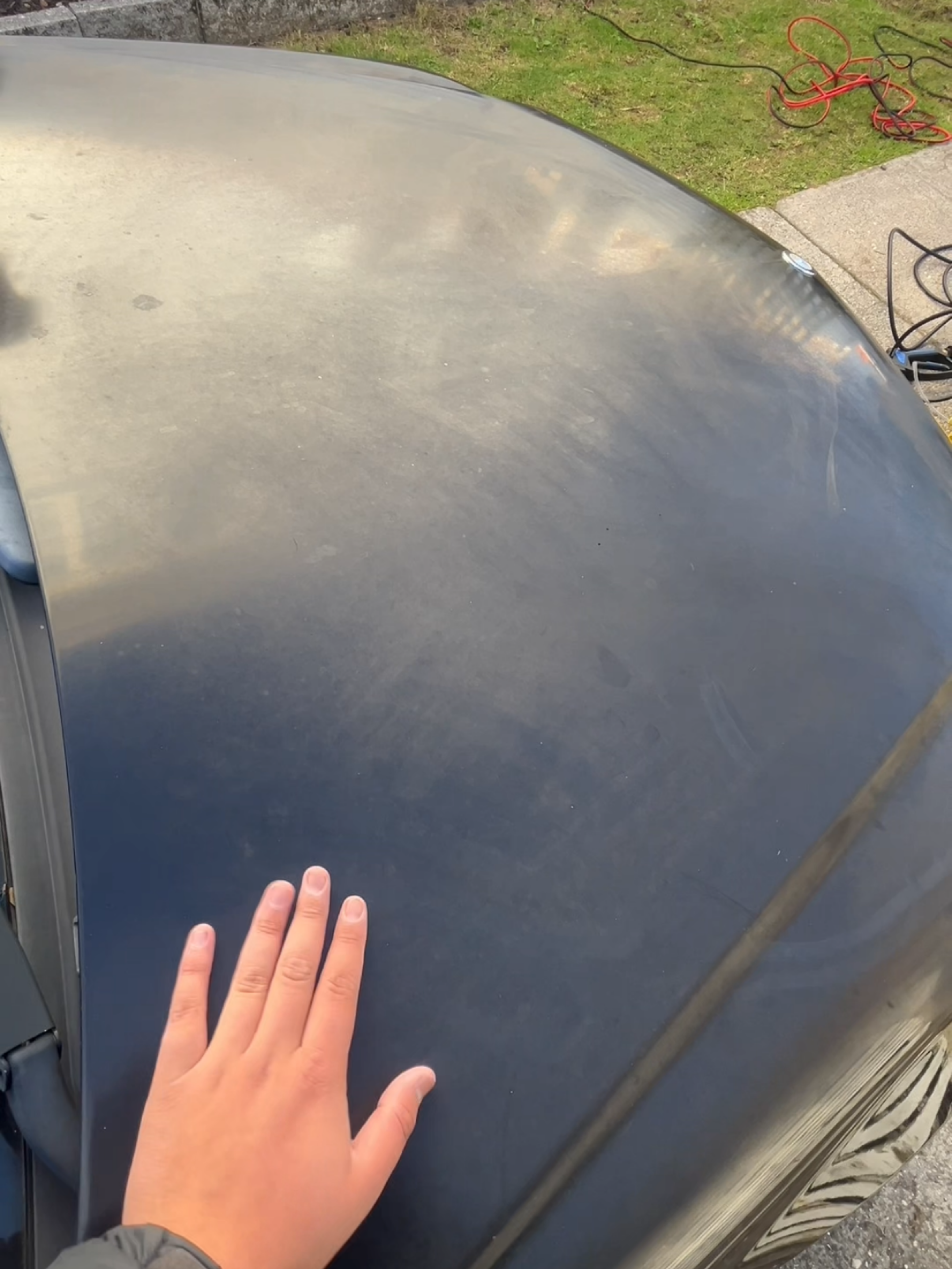Restored paint result